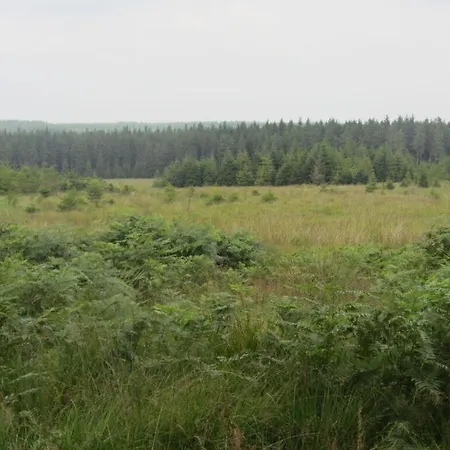 Appartement Lovely In Montjoie