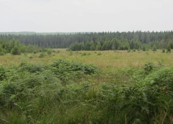 Lejlighed Lovely In Monschau